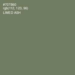 #707B60 - Limed Ash Color Image